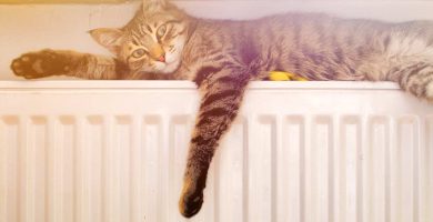 Radiadores en Coruña